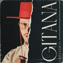 Gitana Nanpa Básico