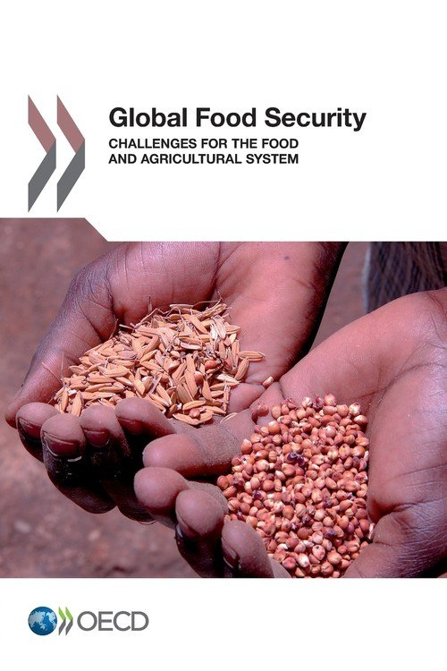 Global Food Security - Opracowanie Zbiorowe | Książka W Empik