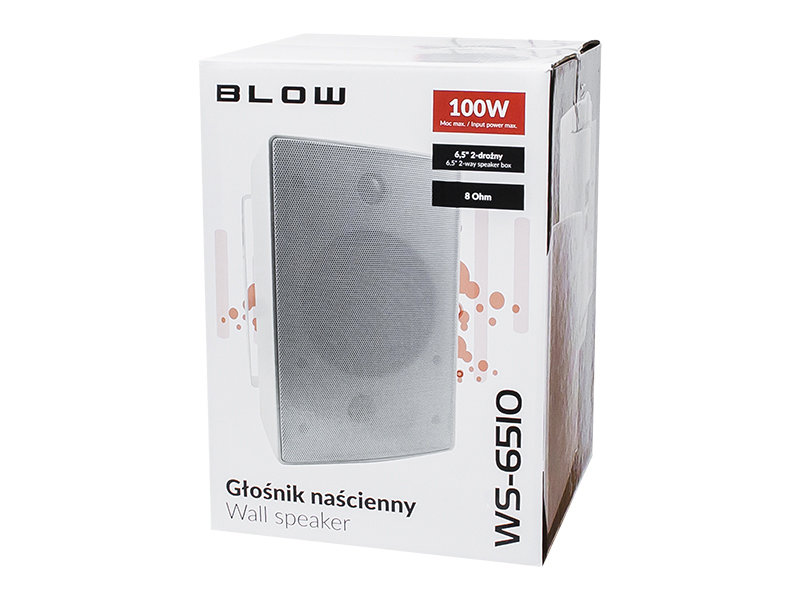 Zdjęcia - Kolumny głośnikowe BLOW Głośnik naścienny  WS-6510 100W zewnętrzny 