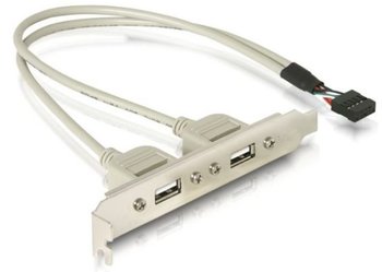 Gniazdo na śledziu DELOCK 71000, 2 x USB 2.0 - Delock
