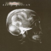God Man David Sylvian