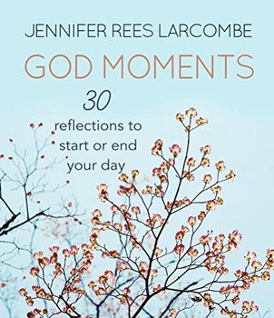 God Moments - Larcombe Jennifer Rees