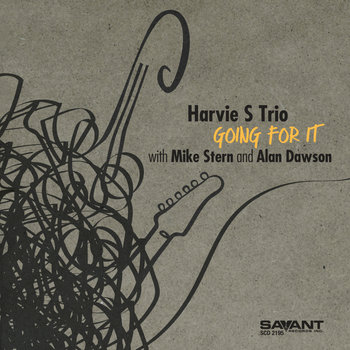 Going For It - Harvie S Trio, Stern Mike, Dawson Alan
