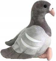 Gołąbek Szary DUBI - 24cm Dubi