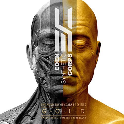 Gold - Various Artists | Muzyka Sklep EMPIK.COM