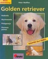 Golden retriever Wolffen Peter