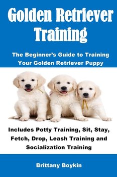 Golden Retriever Training - Boykin Brittany