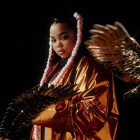 Golden Wings Zoe Wees