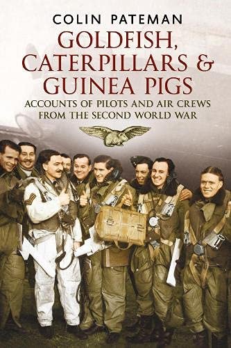 Image showcasing Goldfish Caterpillars & Guinea Pigs: Accounts of Pilots and Air Crews ...