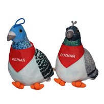 Gołębie POZNAŃ Inna marka