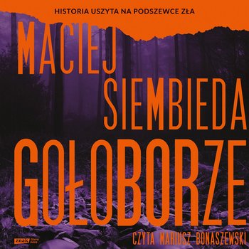 Gołoborze - audiobook - Siembieda Maciej