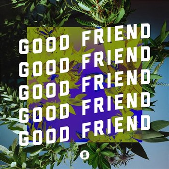Good Friend - Switch
