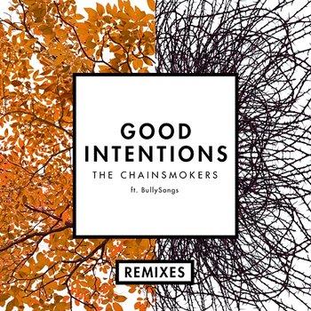 Good Intentions (Remixes) - The Chainsmokers feat. BullySongs