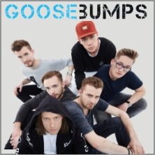 Koncert zespołu Goose Bumps