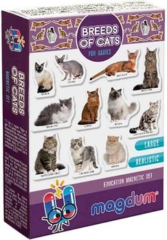 Gra Edukacyjna Magnesy Na Lodówkę Koty Dla Dzieci - Aston