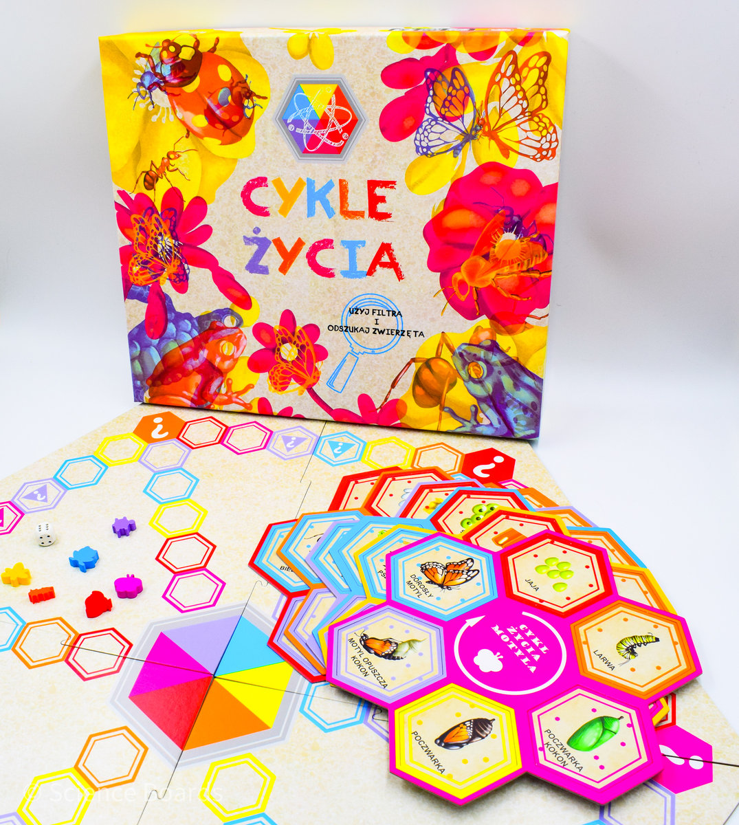 Zdjęcia - Zabawka edukacyjna Gianna Rose Atelier Cykle życia, gra edukacyjna 