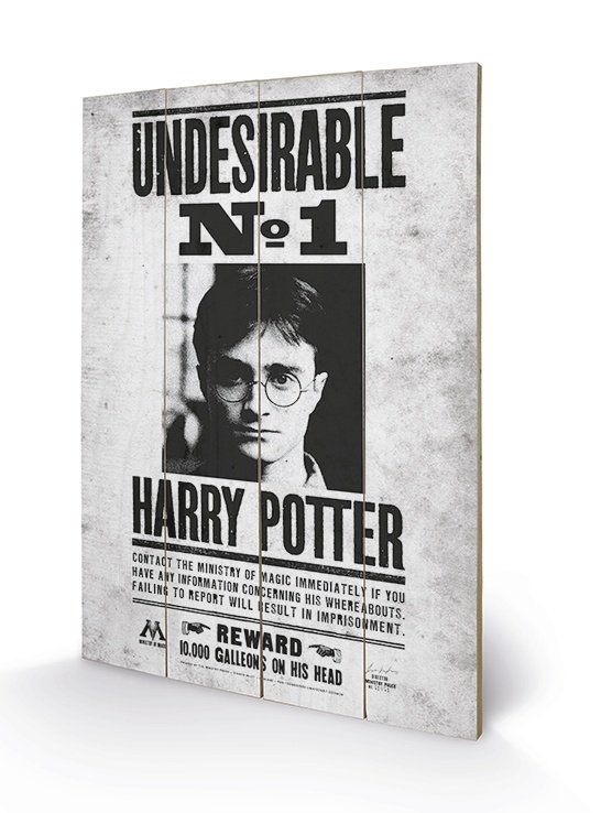 Grafika na drewnie PYRAMID INTERNATIONAL Harry Potter Undesirable No1, szaro-czarny, 40x59x150 cm