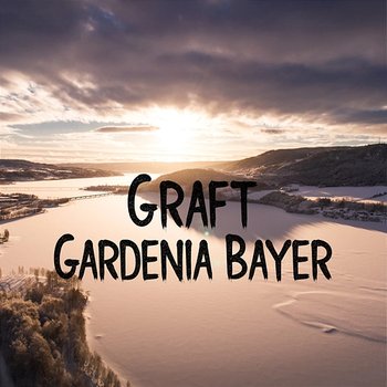 Graft - Gardenia Bayer