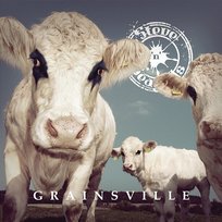 Grainsville Steve 'n' Seagulls