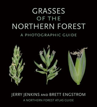 Grasses of the Northern Forest: A Photographic Guide - Jerry Jenkins, Brett Engstrom