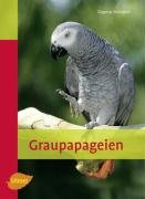 Graupapageien Schratter Dagmar