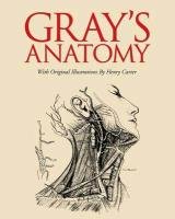 Grays Anatomy Henry Gray