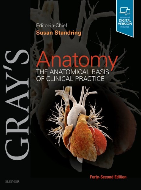 Gray's Anatomy 第39版 Grays Anatomy. The Anatomical Basis of Clinical Practice