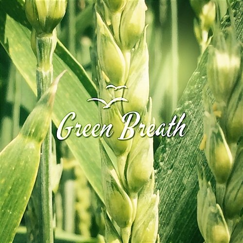 Music to Help You Study and Deep Concentration Dominika Jurczuk