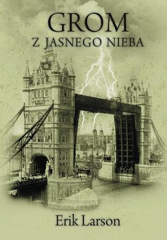 Grom z jasnego nieba - Larson Erik