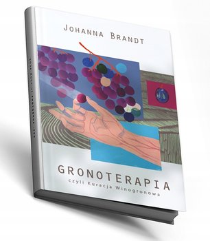 GRONOTERAPIA, CZYLI KURACJA WINOGRONOWA J.BRANDT KSIĄŻKA