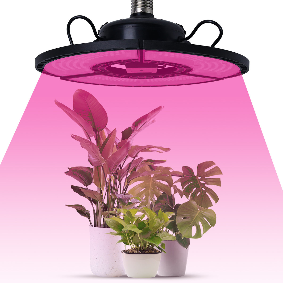 Grow Lights for Indoor Plants 360 LEDs Full Spectrum Red Blue Light ...