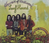 Growers of Mushroom Leaf Hound