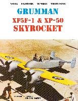 Grumman XF5F-1 & XP-50 Skyrocket - Lucabaugh David, Martin Bob