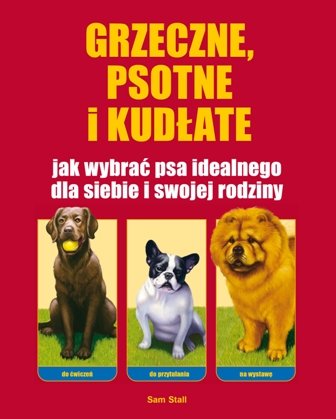 Grzeczne, psotne i kudłate. Jak wybrać psa idealnego dla siebie i swojej rodziny