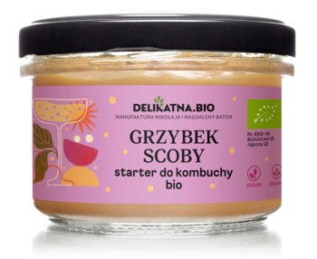 Grzybek Scoby Starter Do Kombuchy Bio 150 G - Delikatna (Zakwasownia) - Zakwasownia