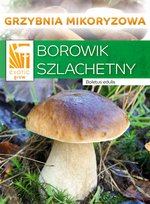 Grzybnia mikoryzowa Borowik szlachetny / Exoticgrow