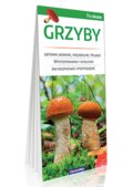 Grzyby - Opracowanie zbiorowe
