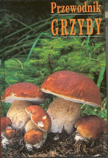 Grzyby. Przewodnik - Gerhardt Ewald | Książka w Empik