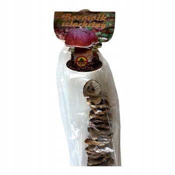 Grzyby Suszone Borowik Szlachetny Suszony Całe Kapelusze Klasa I 100G - Inna marka