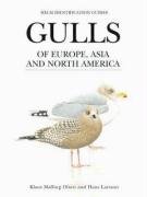 Gulls of Europe, Asia and North America - Malling Olsen