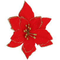 Polecane produkty w promocyjnych cenach