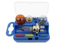 H7 | Podręczny zestaw żarówek i bezpieczników samochodowych-H7