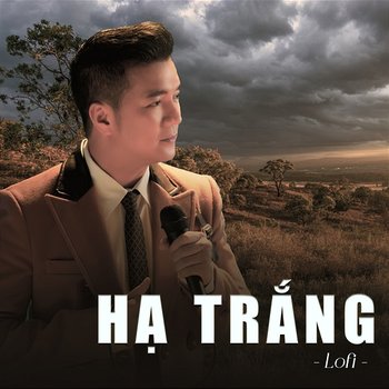 Hạ Trắng (lofi) - Đàm Vĩnh Hưng