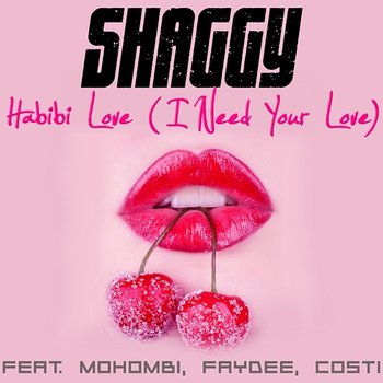 Habibi Love (I Need Your Love) - Shaggy feat. Mohombi, Faydee, Costi
