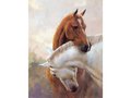 Haft Diamentowy, Obraz, Mozaika Diamentowa Diamond Painting, Dwa Konie 30X40Cm&nbsp;-&nbsp;DK