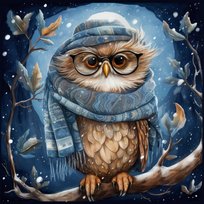 Haft Diamentowy Zimowa Sowa 45x45 cm