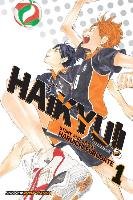 Haikyu!! Furudate Haruichi