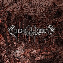 Hail Wind and Hewn Oak Falls of Rauros