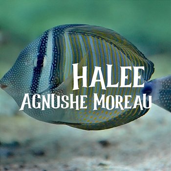 Halee - Agnushe Moreau