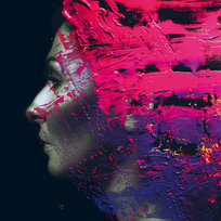 Hand Cannot Erase Wilson Steven